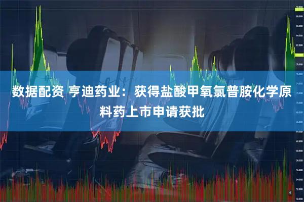 数据配资 亨迪药业：获得盐酸甲氧氯普胺化学原料药上市申请获批