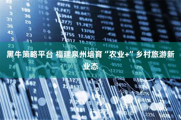 黑牛策略平台 福建泉州培育“农业+”乡村旅游新业态