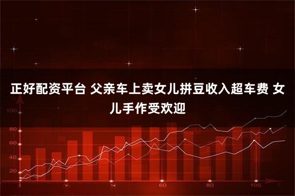 正好配资平台 父亲车上卖女儿拼豆收入超车费 女儿手作受欢迎