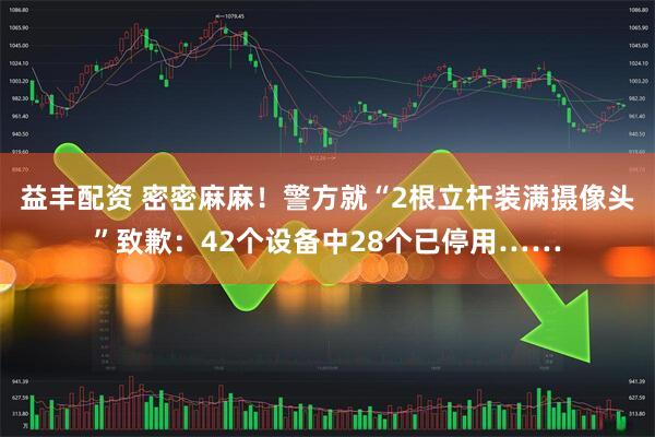 益丰配资 密密麻麻！警方就“2根立杆装满摄像头”致歉：42个设备中28个已停用……