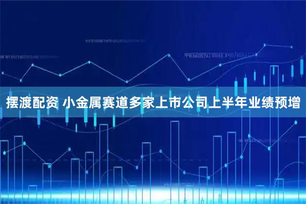 摆渡配资 小金属赛道多家上市公司上半年业绩预增